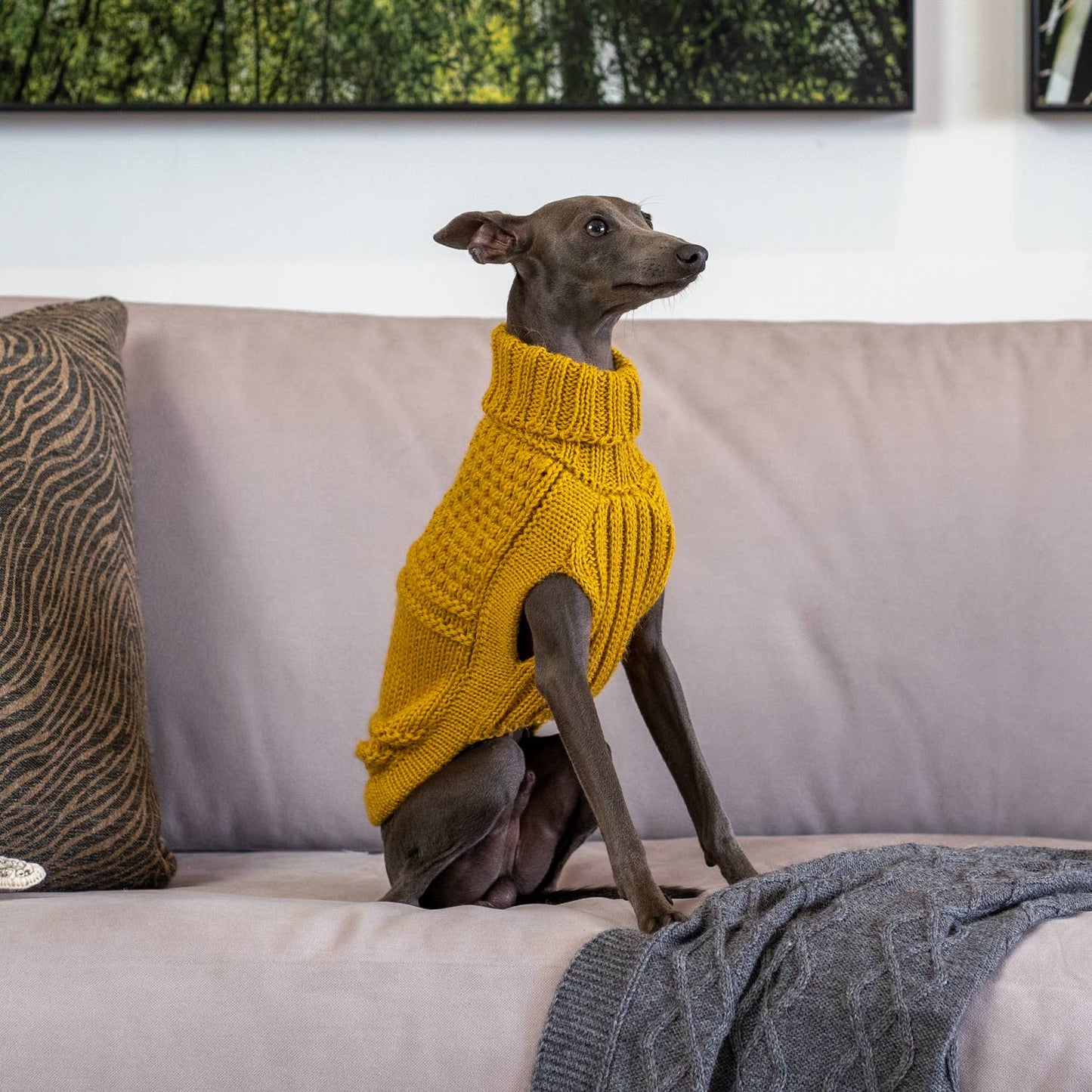 Oscar Mustard Alpaca Dog Sweater