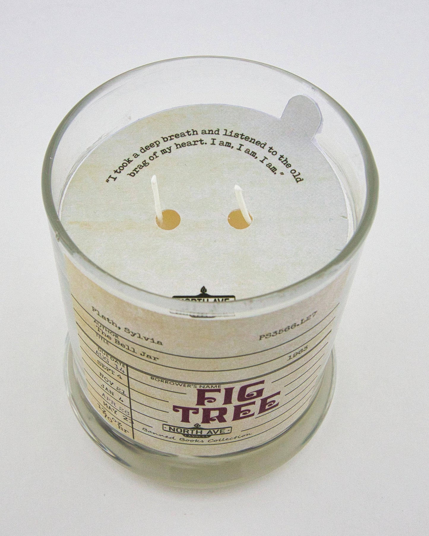 Banned Book Candle / The Bell Jar / Feminist Gift / bookish