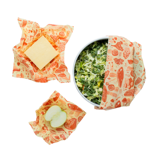 New! Assorted 3 Pack - Mushroom Magic, Limited Edition