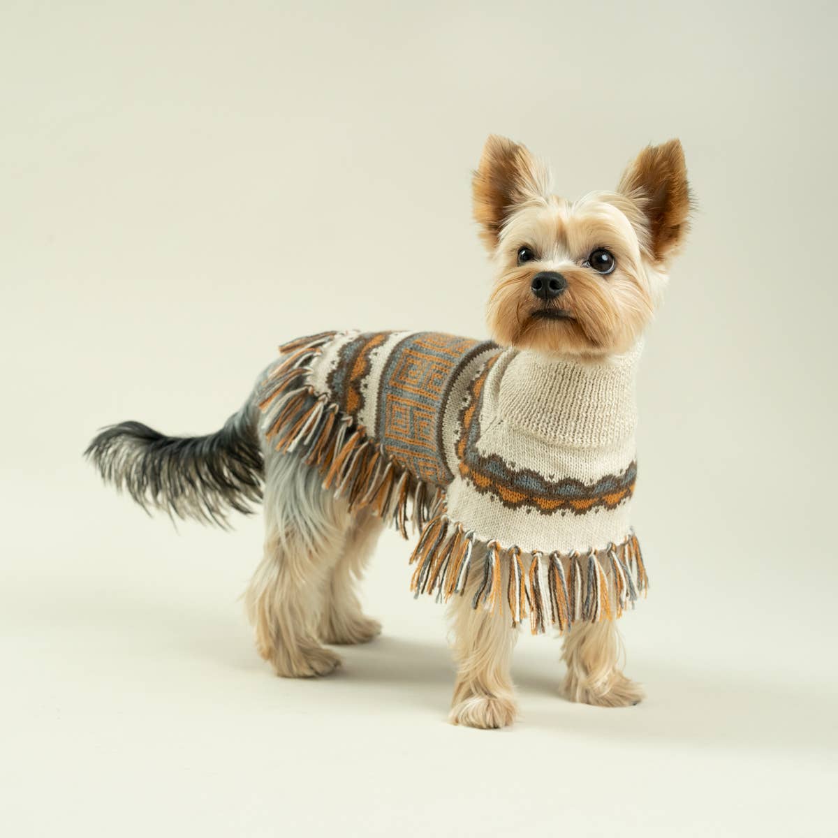 Pisac Alpaca Dog Poncho