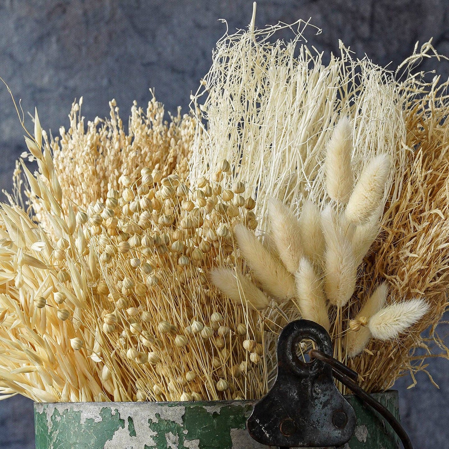 Dried flowers Bleached, 12"