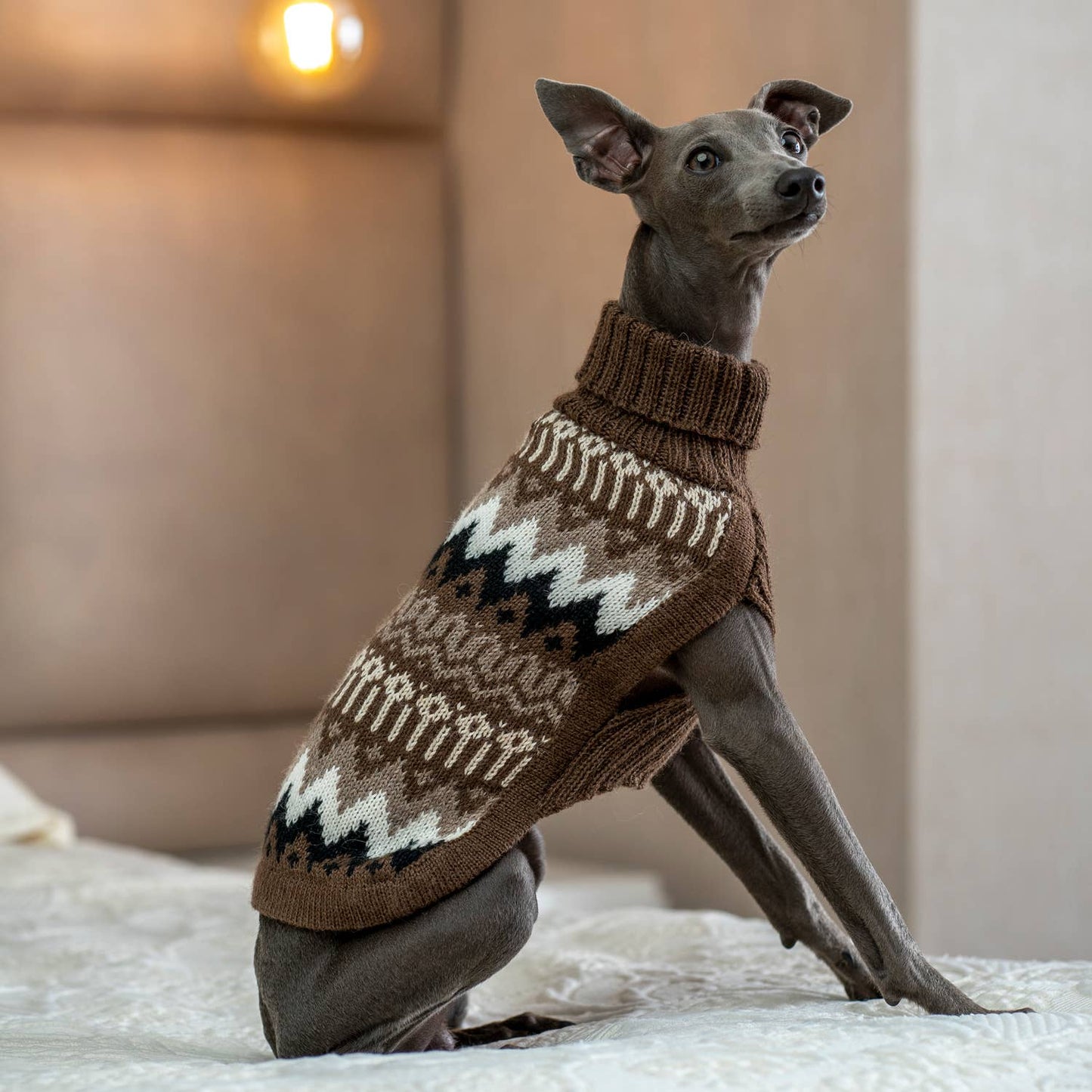 Woolly Peaks Alpaca Dog Sweater