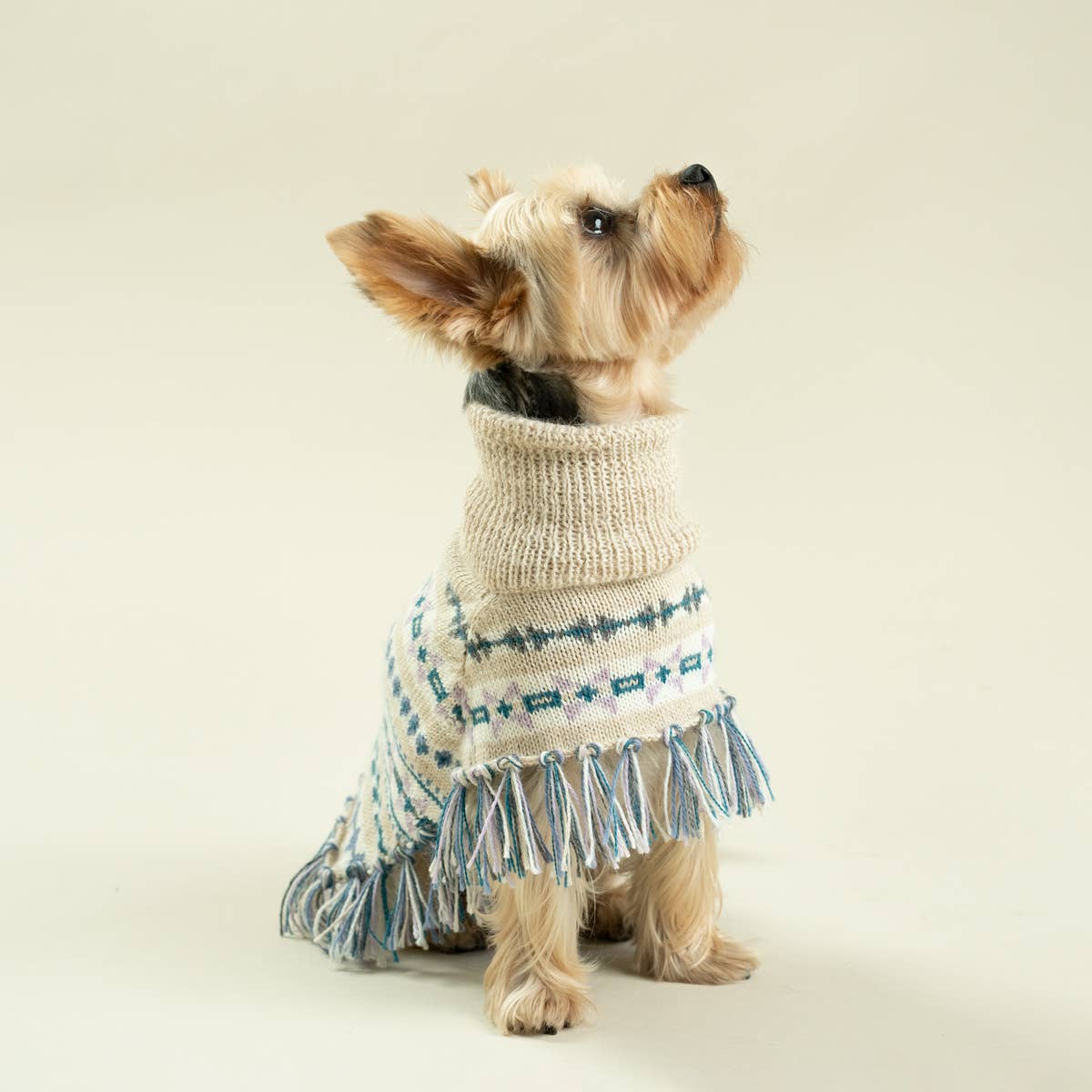 Serendipity Alpaca Dog Poncho