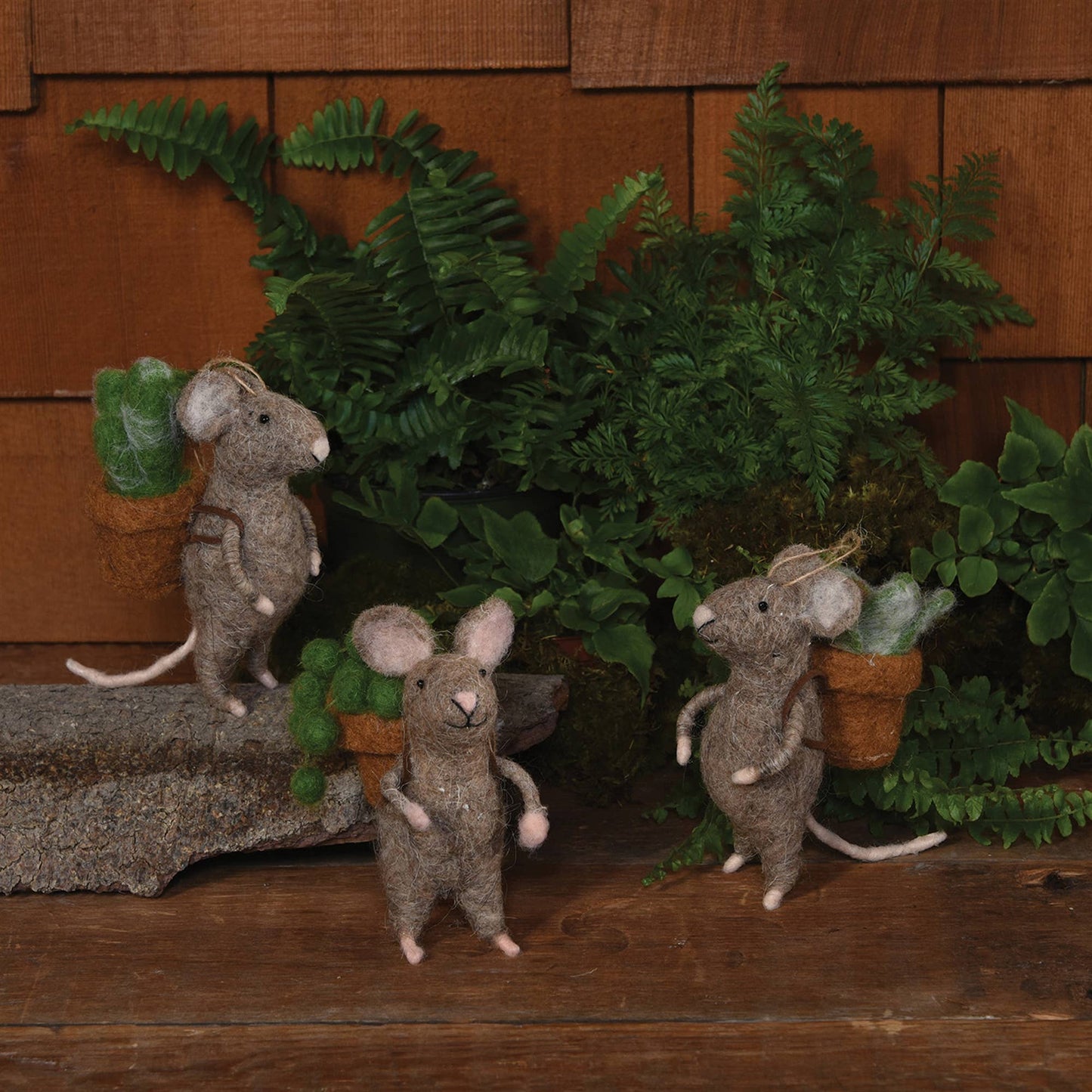 Mice with Succulents, Set of 3