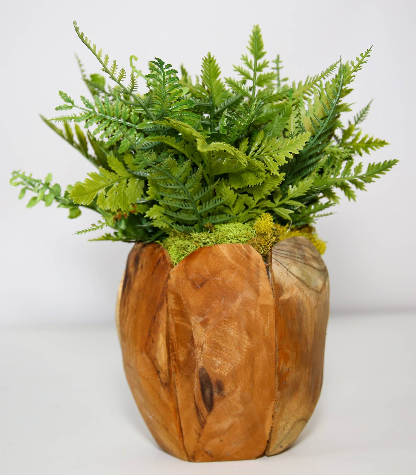 Woodland Fern