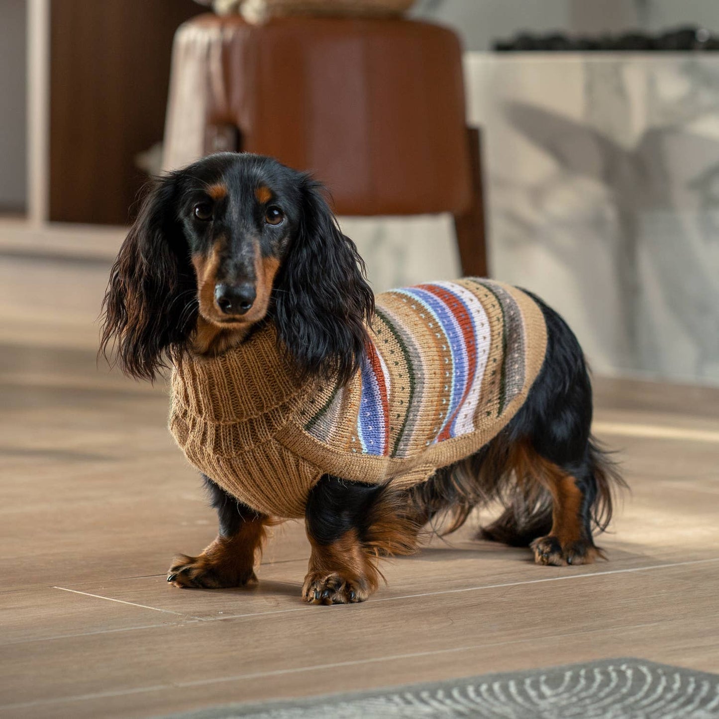 Hello Autumn Alpaca Dog Sweater