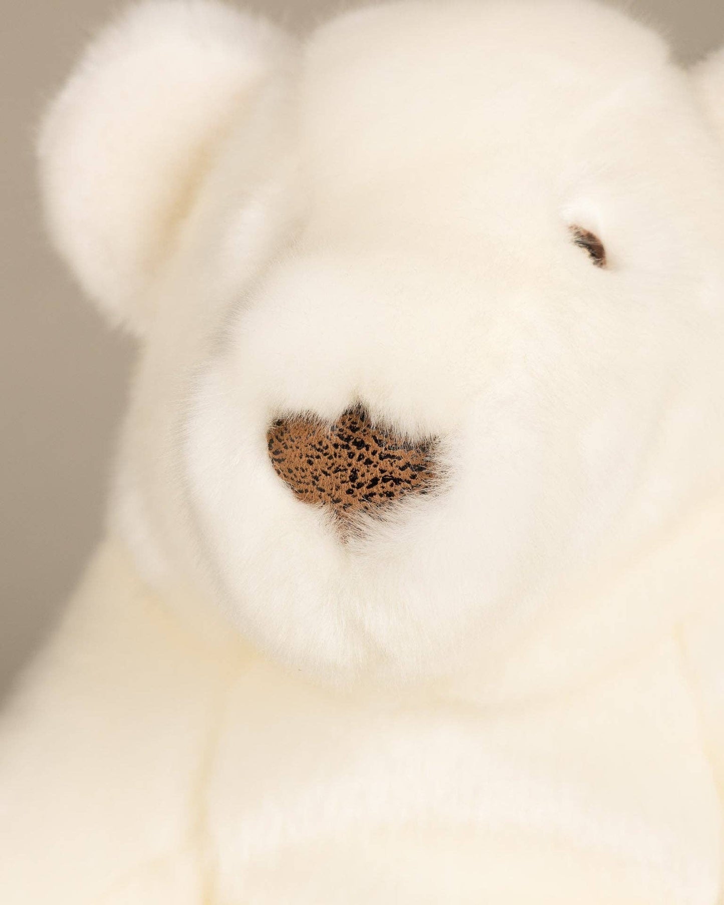 Paul-Emile the Polar Bear