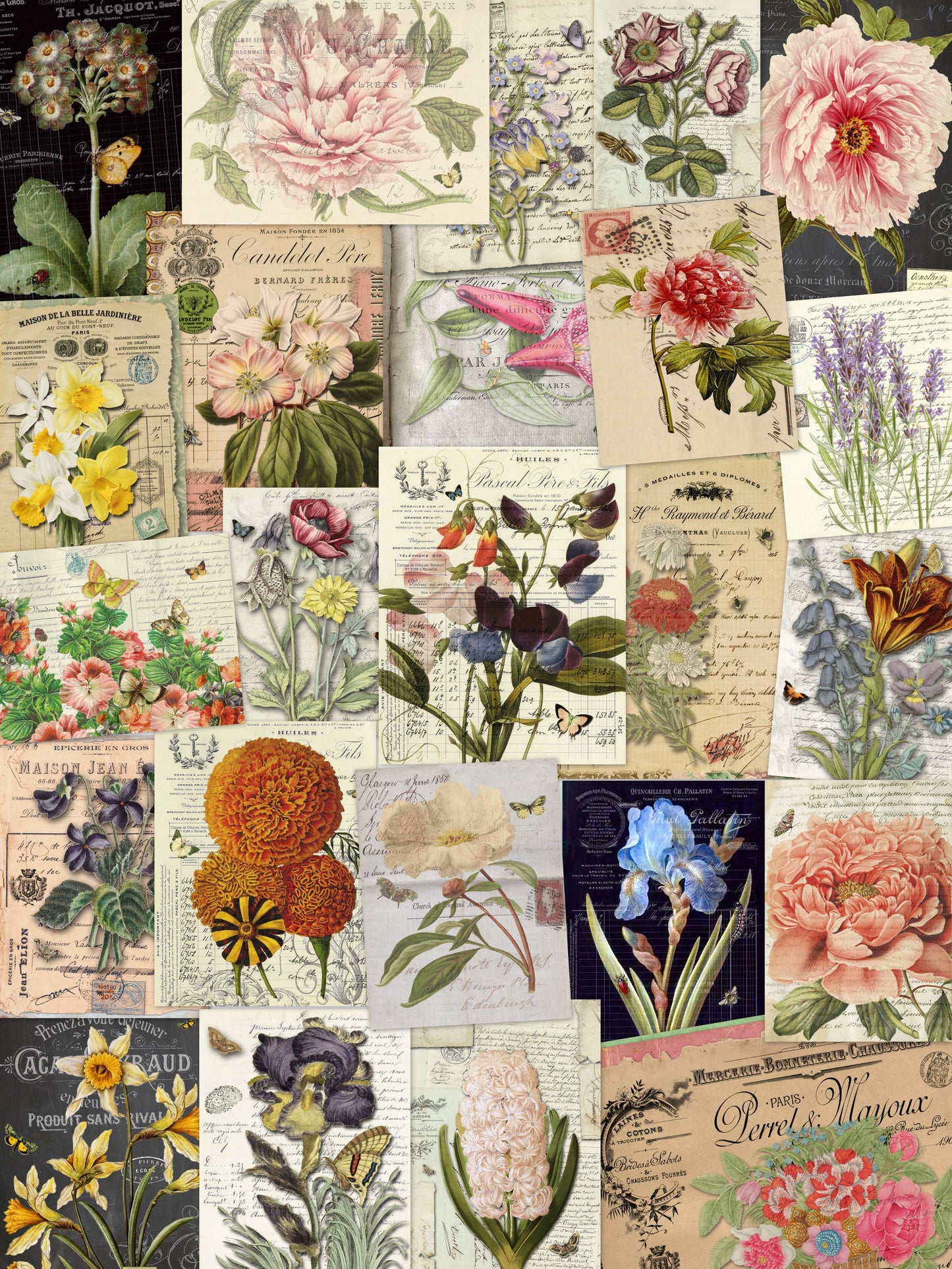 Assorted 11" x 17"   50 Piece Botanicals Papers Collection