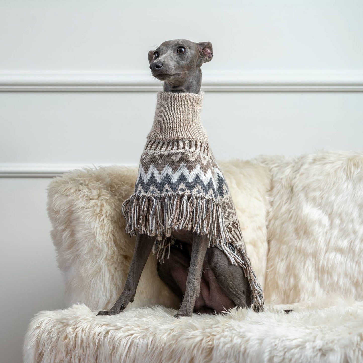 Woolly Winter Alpaca Dog Poncho