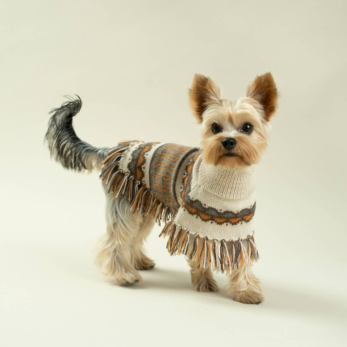 Pisac Alpaca Dog Poncho