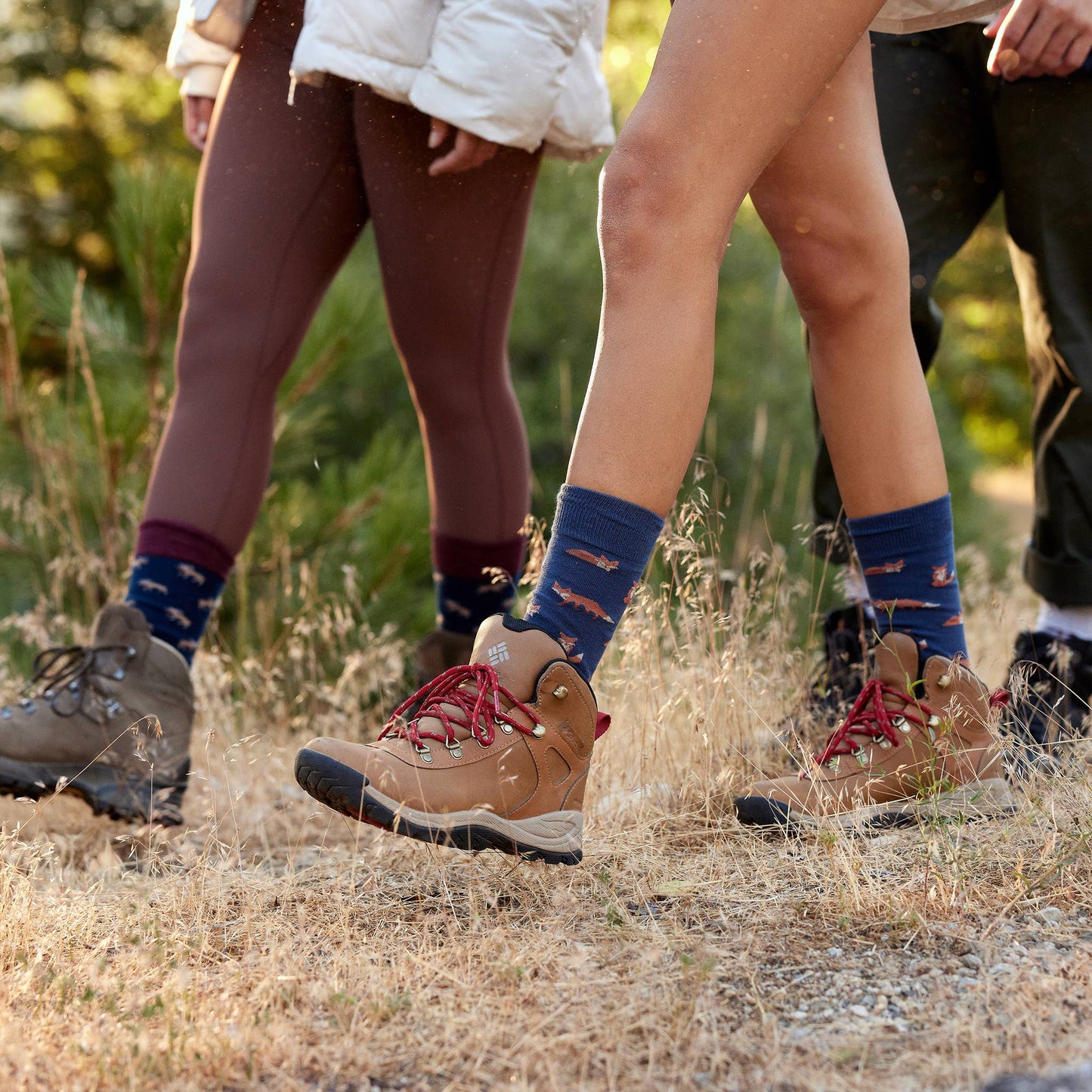 Boxed Set Socks that Protect National Parks