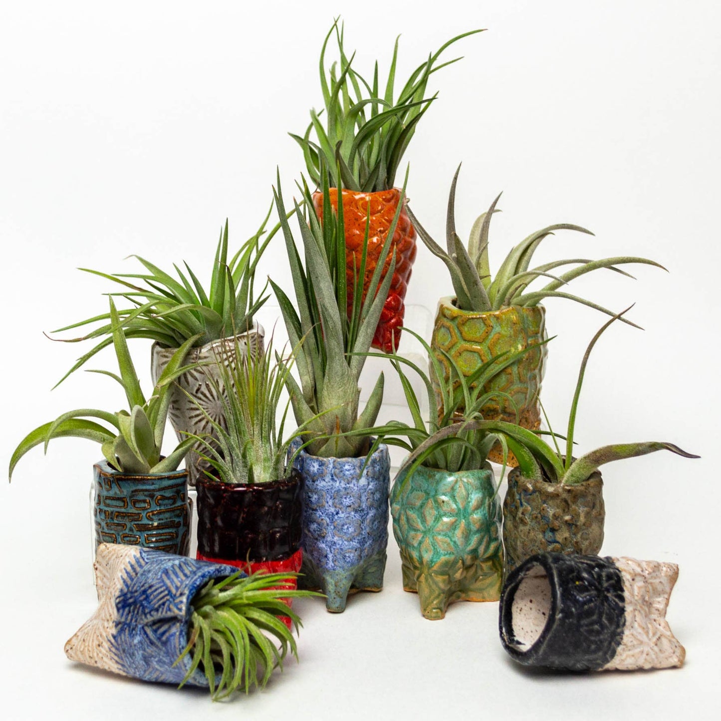 Sm Air Plants Handmade  Pot