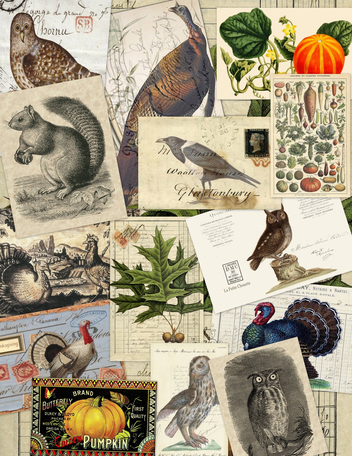 Assorted 11" x 17"  25 Piece Fall Papers Collection