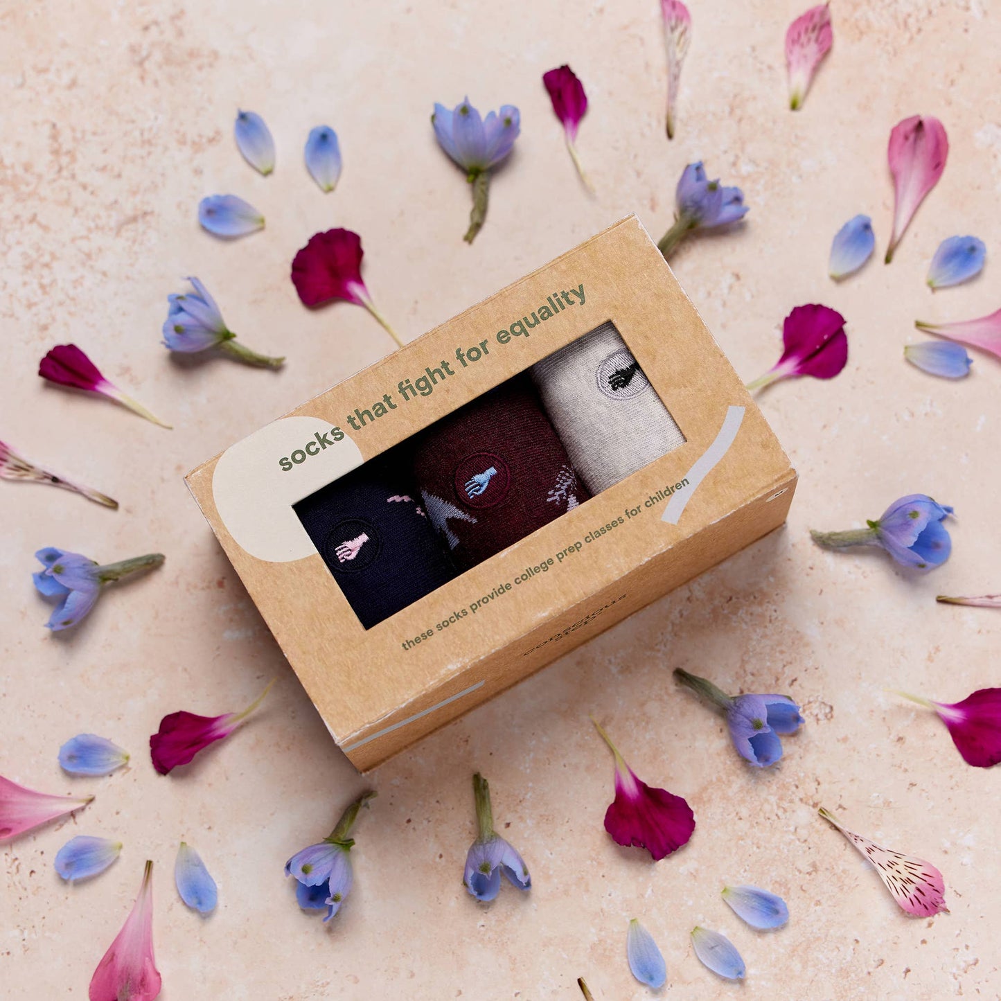 Boxed Set Socks that Fight for Equality