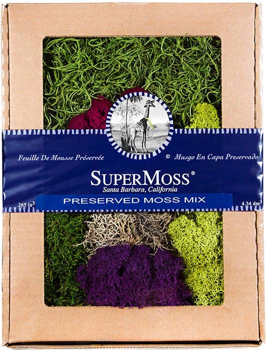 Best Sellers Moss Mix