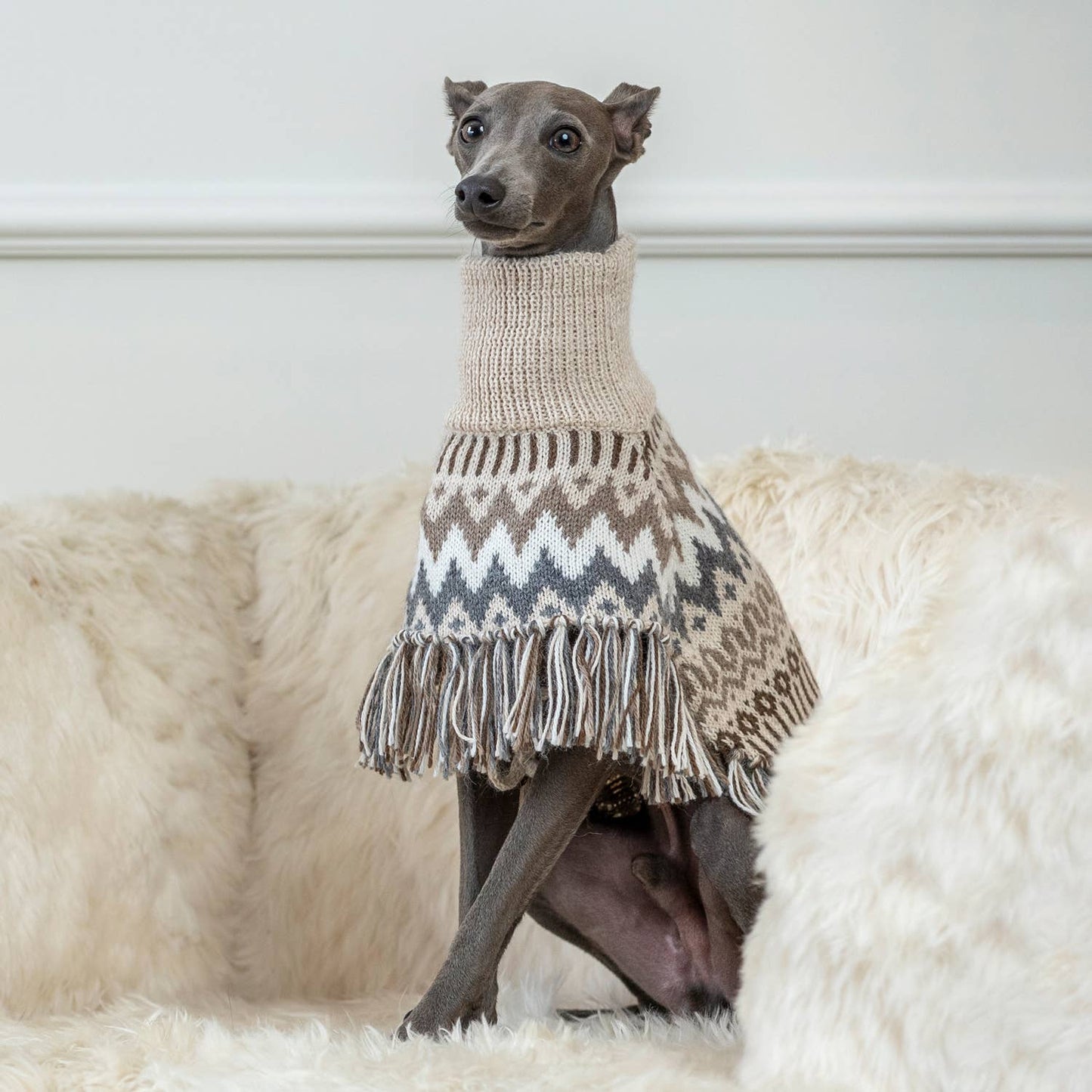 Woolly Winter Alpaca Dog Poncho