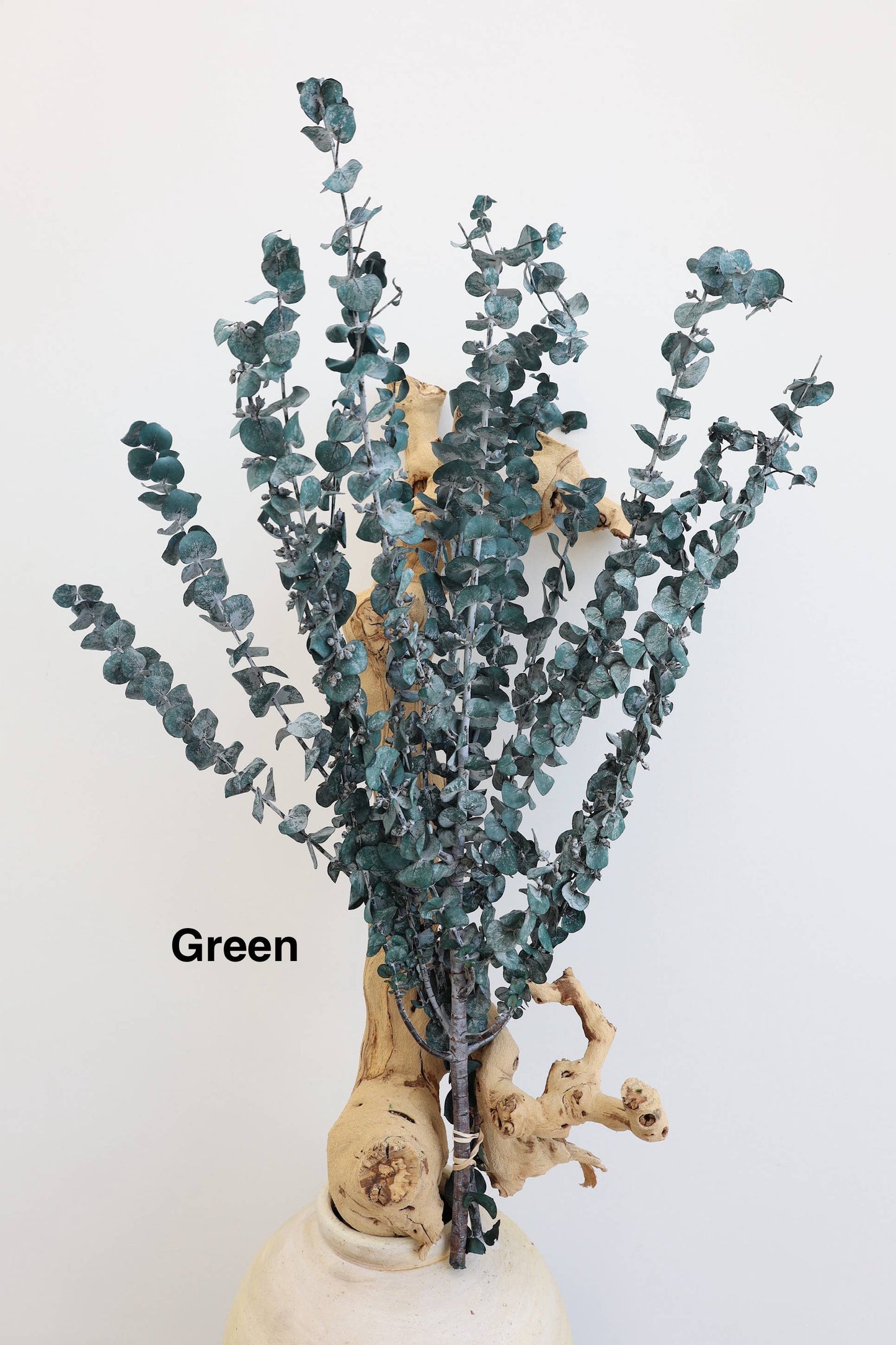 Preserved Eucalyptus