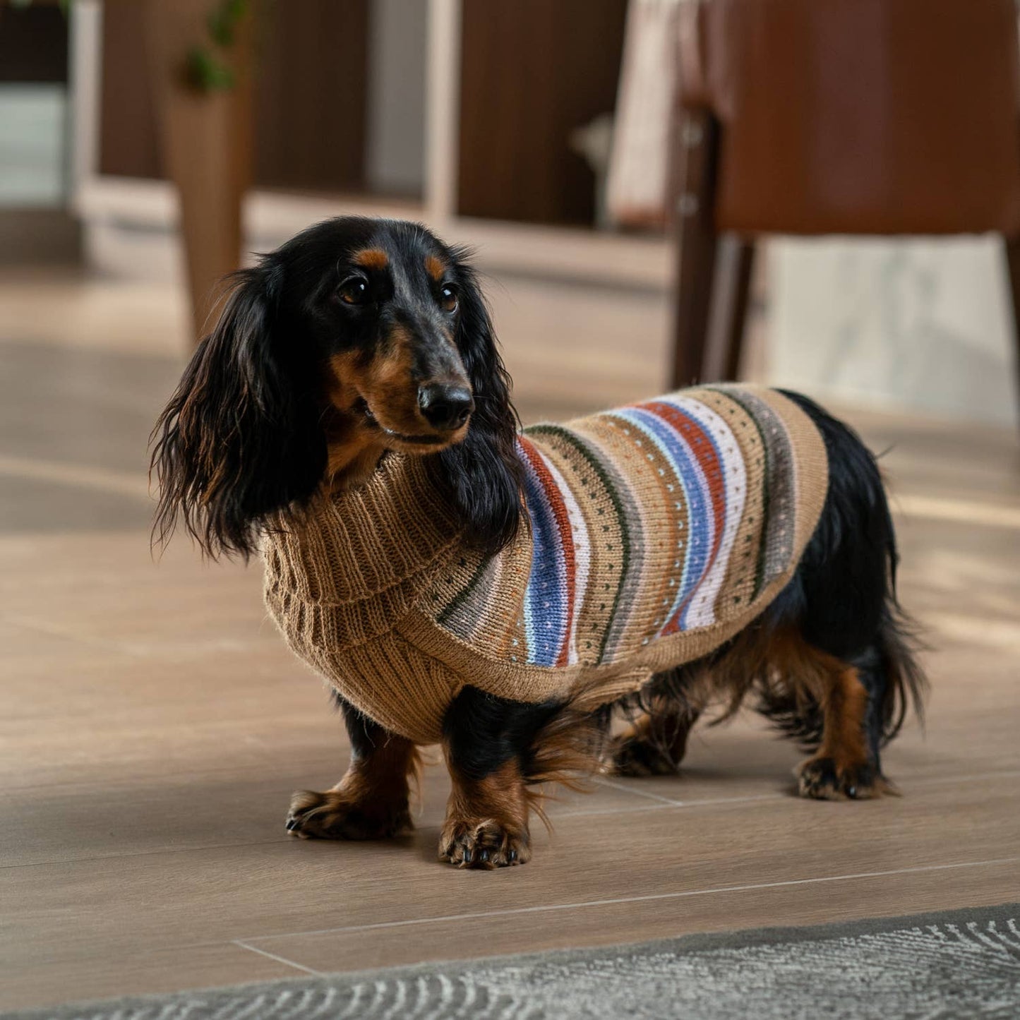 Hello Autumn Alpaca Dog Sweater