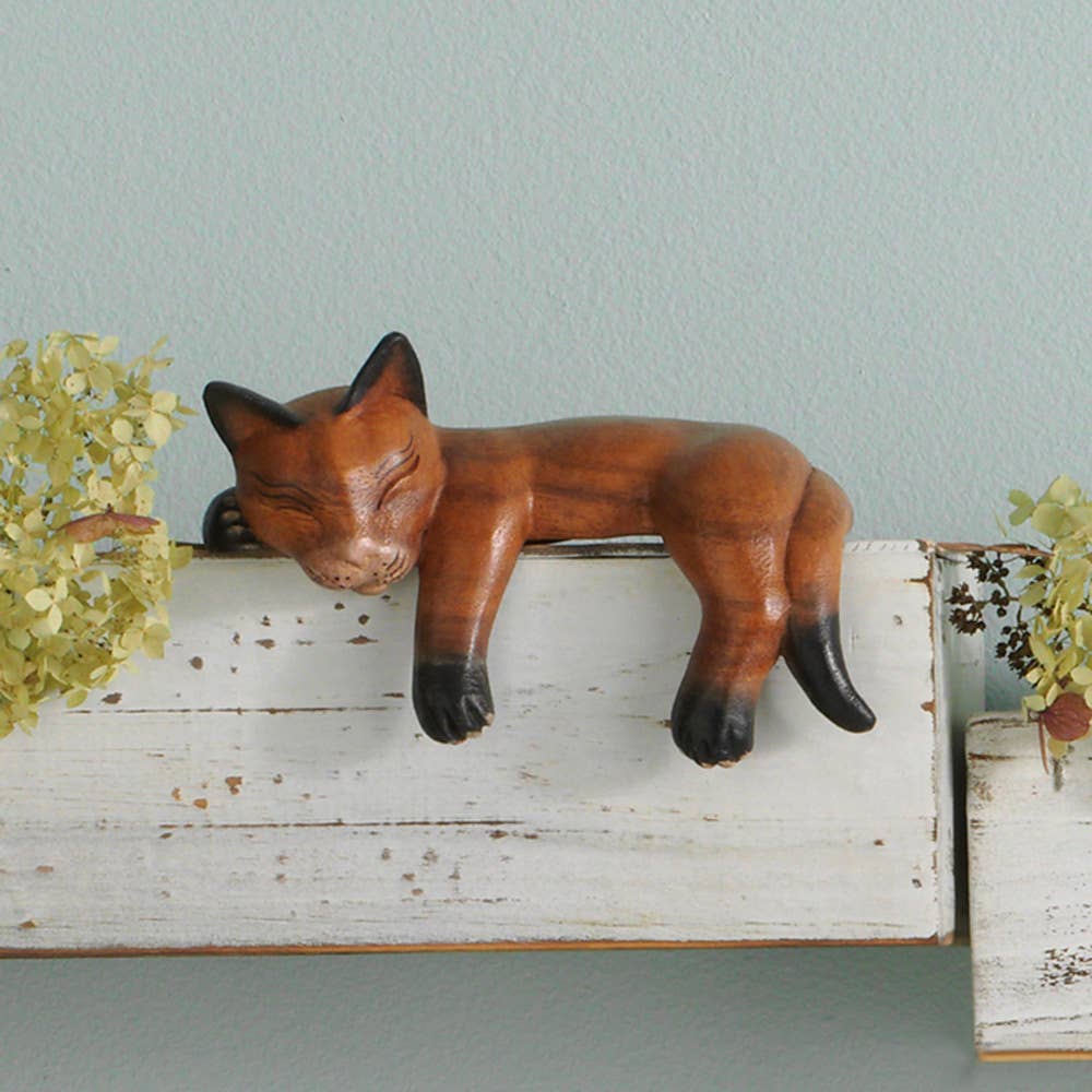 Napping Shelf Cat